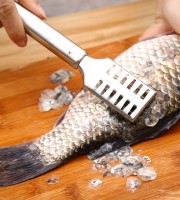 Fish Scale Remover Stainless Steel | Fast Fish Shaver